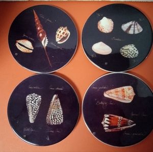 Ginny Joyner Striking Shells Ceramic Coasters Set 4 Different Designs w/holder